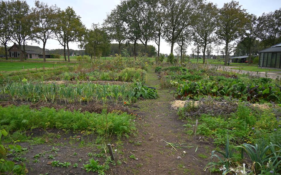 Steun voor nieuwe Sociale Voedseltuinen in Drenthe